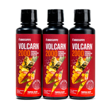 Load image into Gallery viewer, 3 Bottles of Volcarn 2000